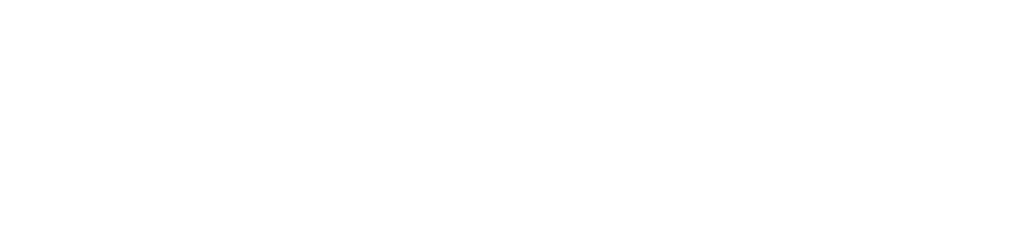 White text logo reading 'SWISSGRIP+' with smaller text 'NORDIC' underneath on a transparent background.
